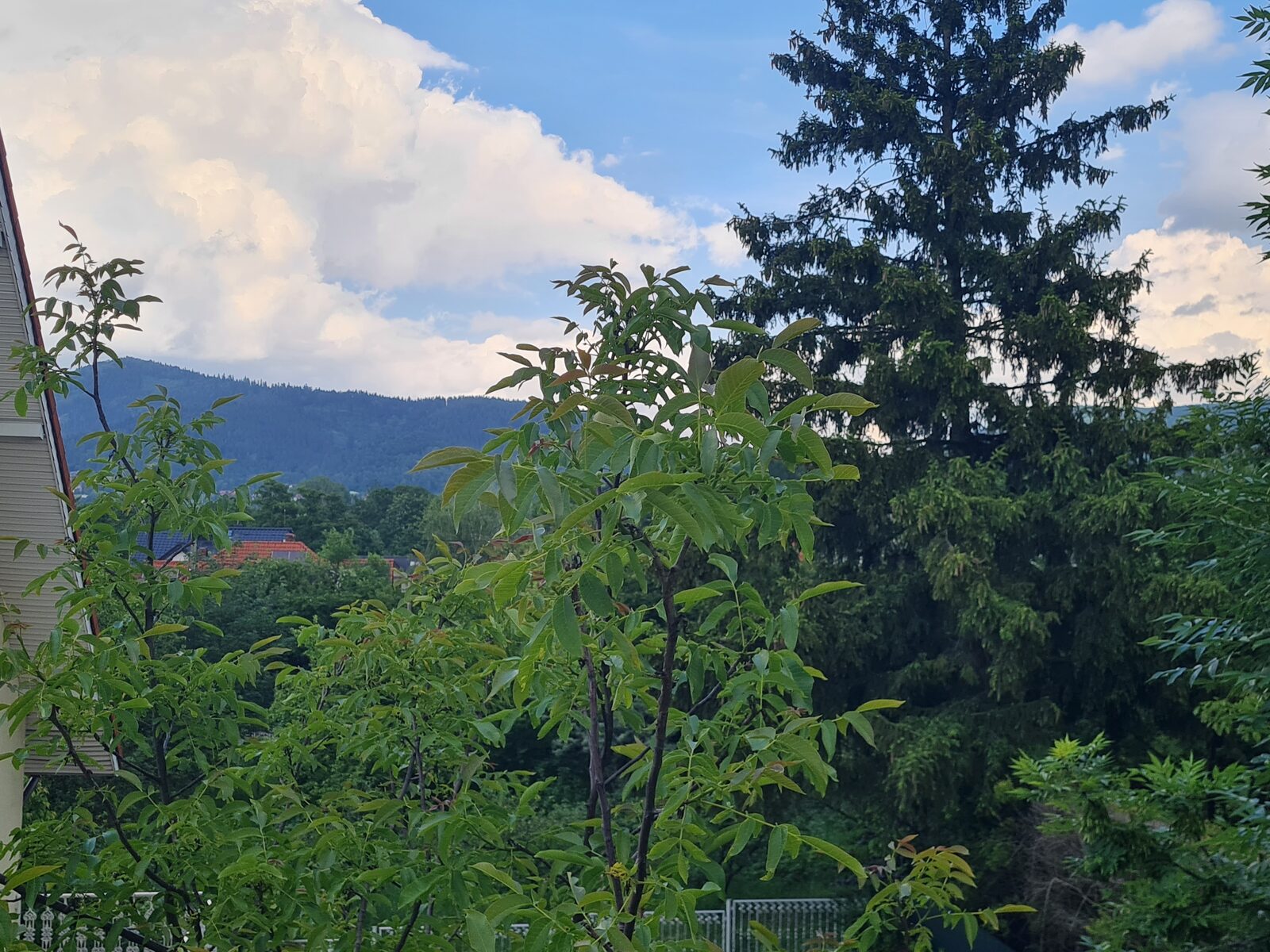 Widok z balkonu apartamentu - tył