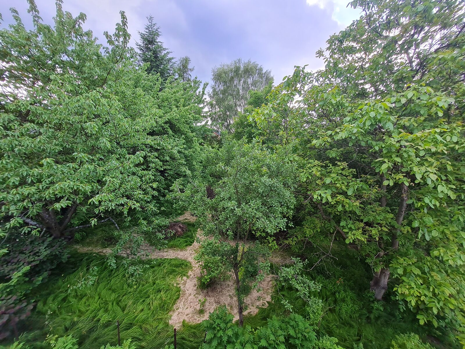 Widok z okna w pokoju